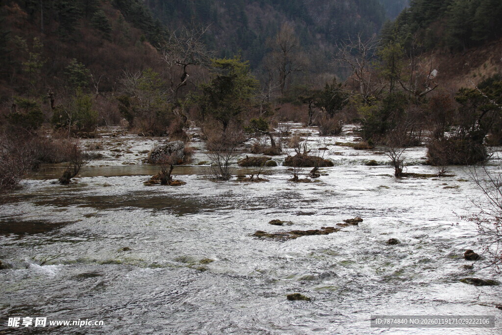 山间溪流 自然静谧之景
