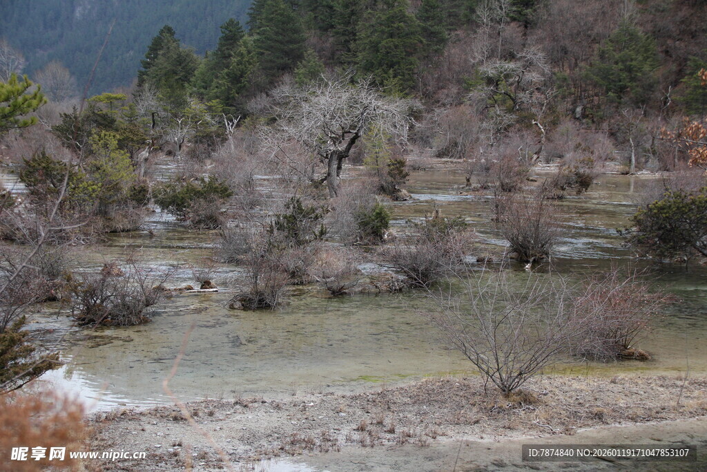 山间溪流旁的萧瑟景致