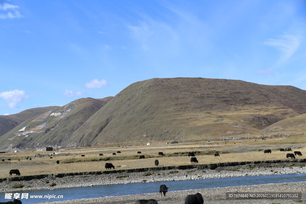 草原山川间的悠然景致