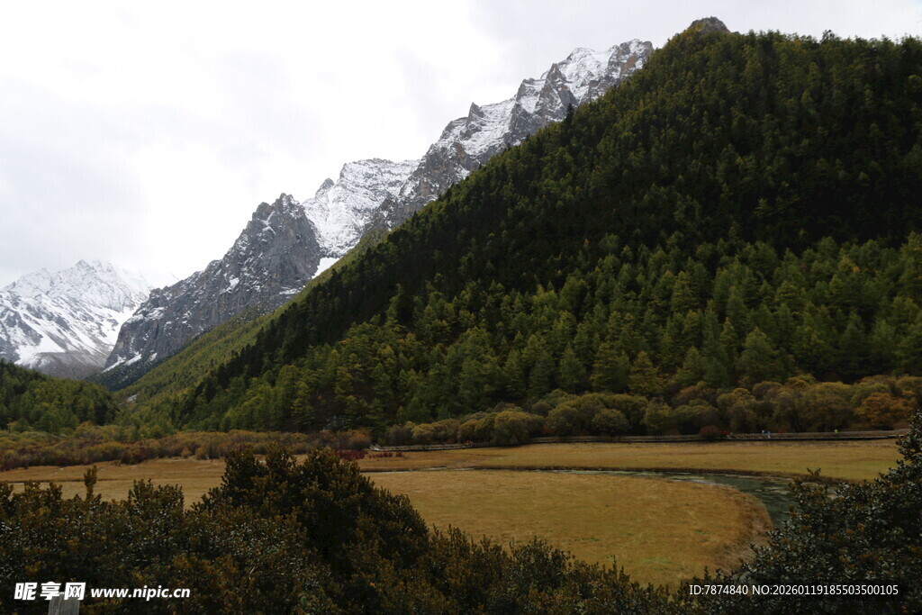 雪山下的黄绿相间山谷风光