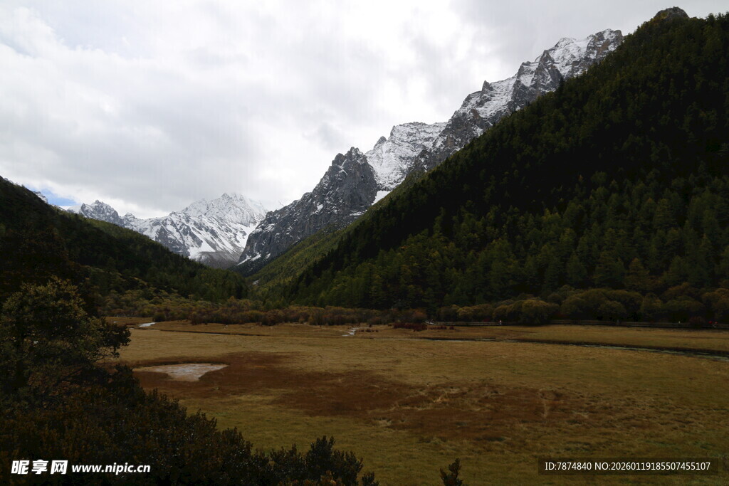 雪山下的开阔山谷风光