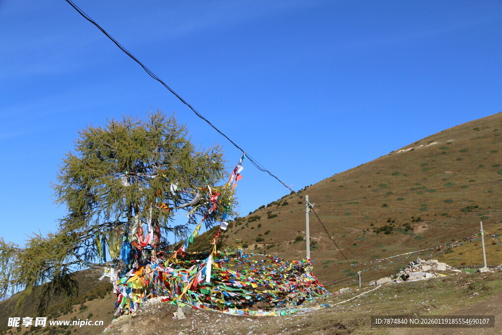 山坡上的五彩经幡