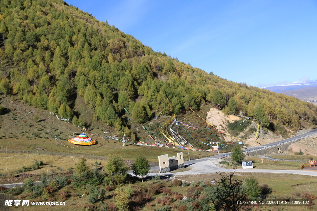 山间公路旁的葱郁山林