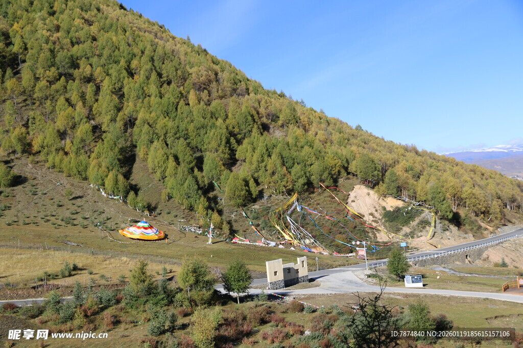山间公路旁的葱郁山林