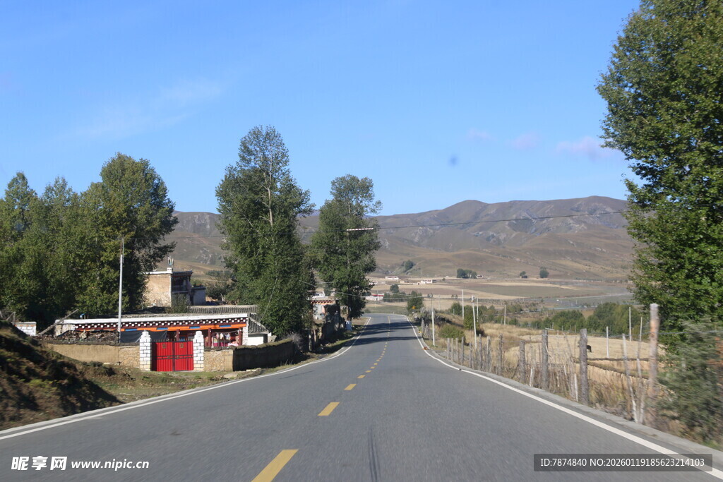 乡村公路旁的宁静景致