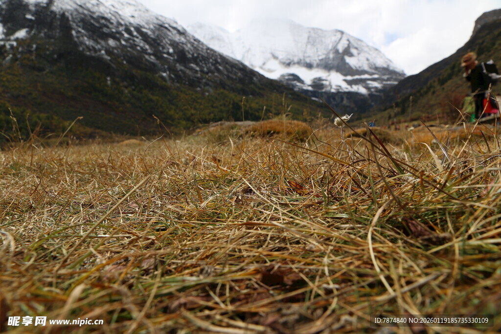 山间草地与远处雪山景观
