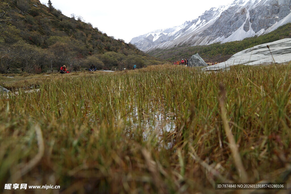 山间草地与远处雪山景观