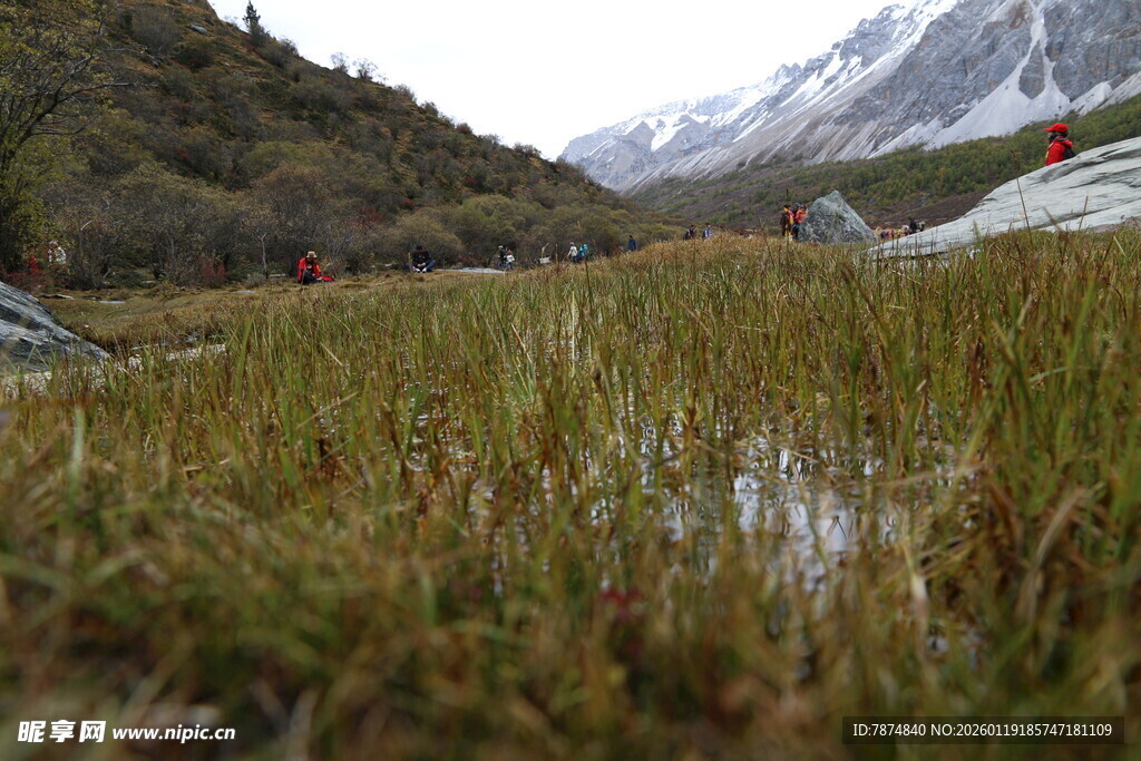山间草地 远处雪山景色