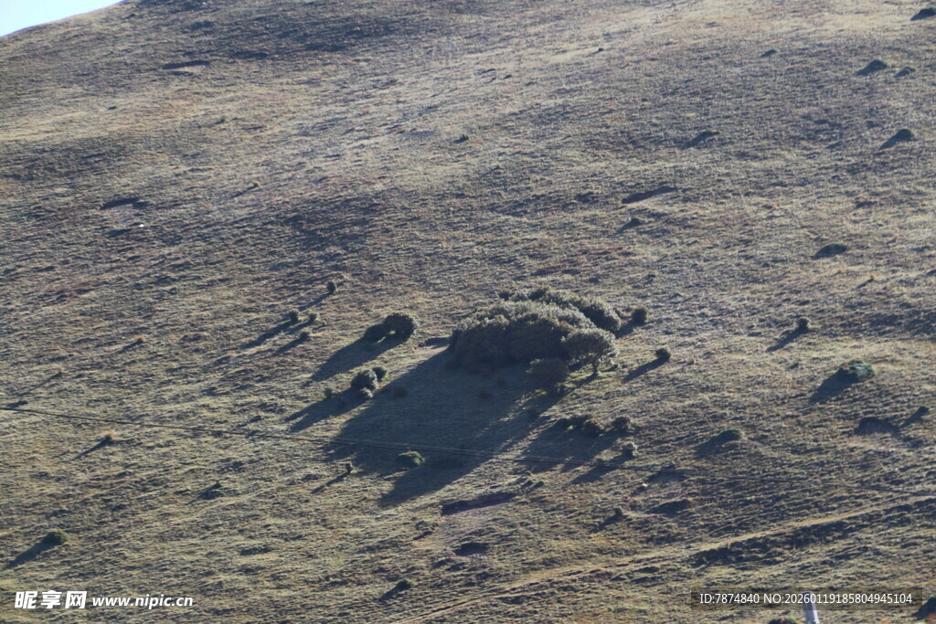 荒凉山地中的岩石景观