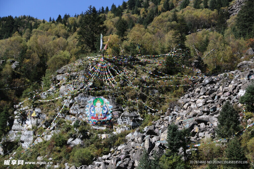 山间缆车穿梭于葱郁山林