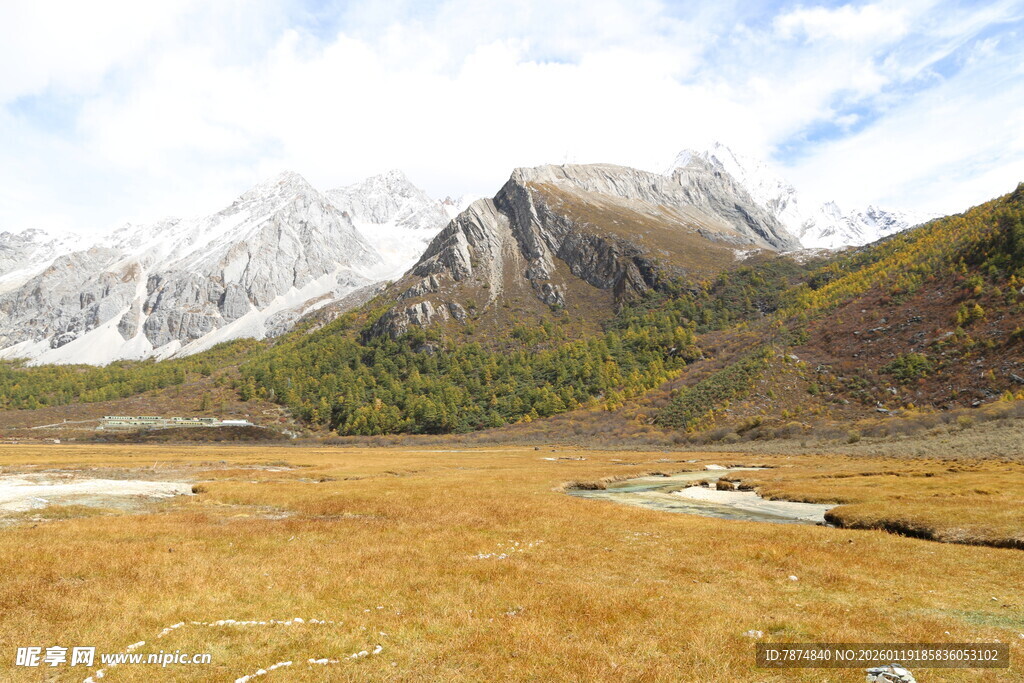 雪山下的金黄草地湖泊