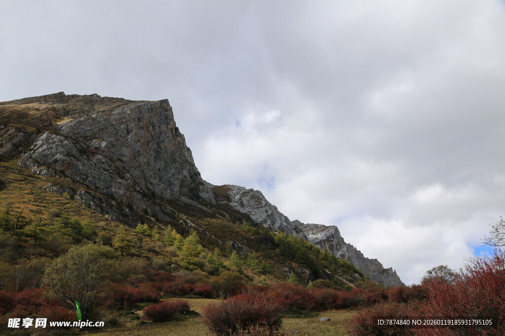 山间秋景 岩石与红叶