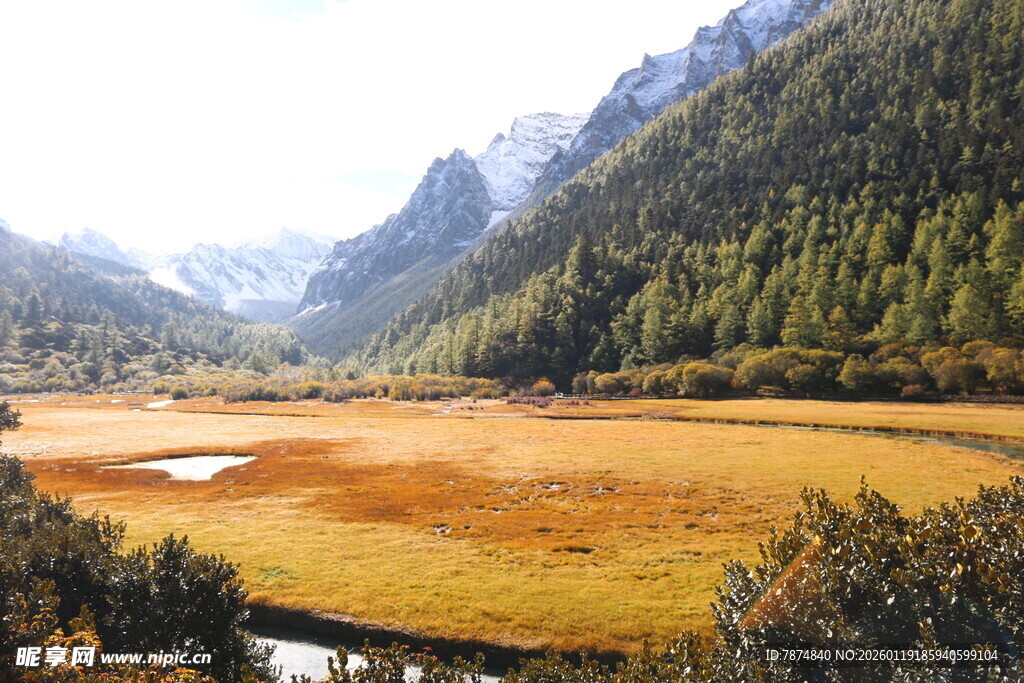 山间草甸与溪流美景