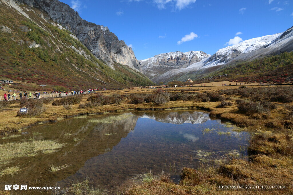 山间湖泊 雪山下的自然美景