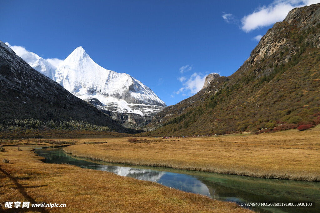 雪山下的宁静河谷