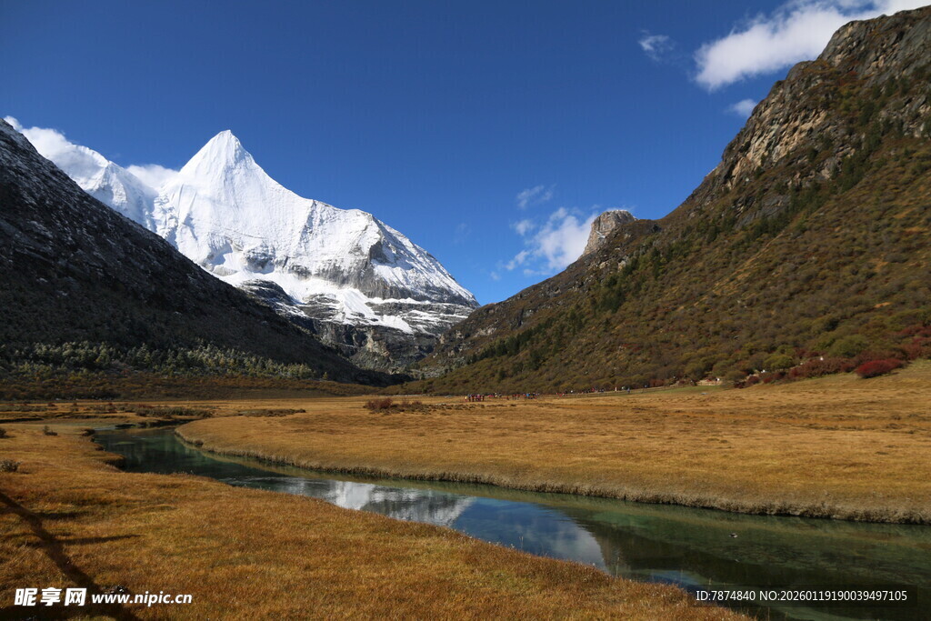 雪山下的宁静河谷风光