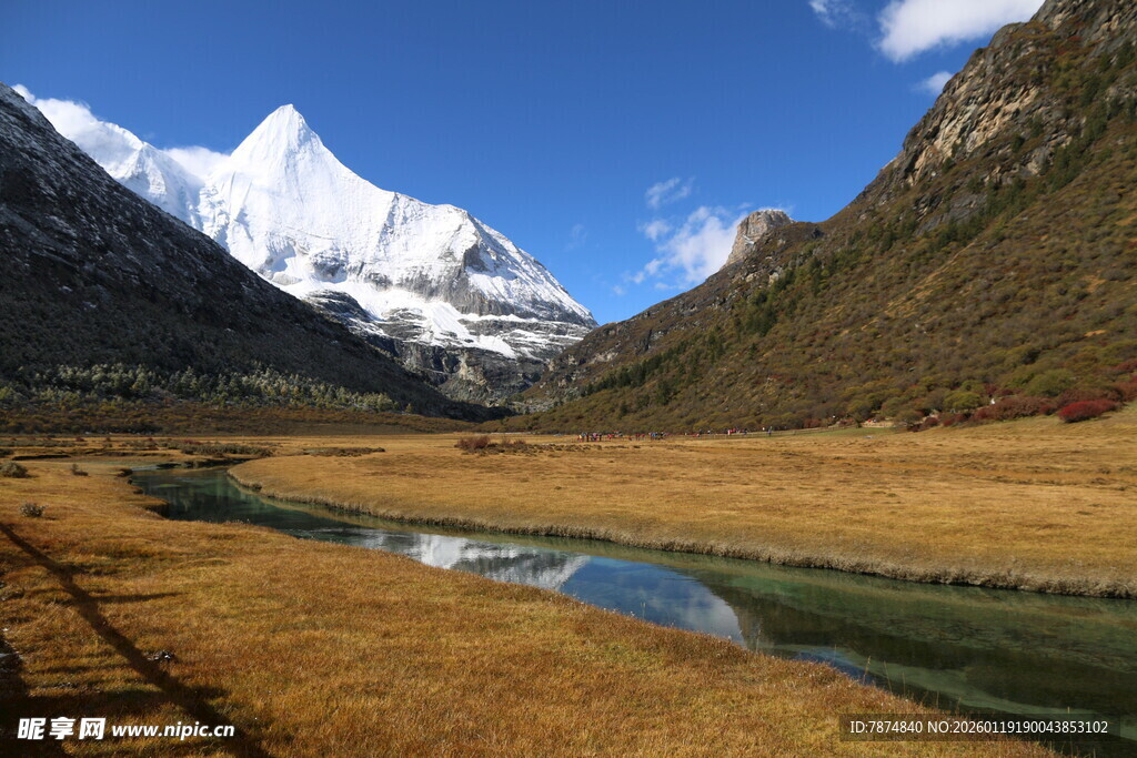 雪山下的宁静河谷风光