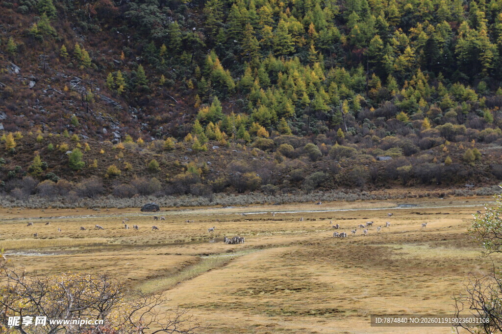 山间开阔田野景色