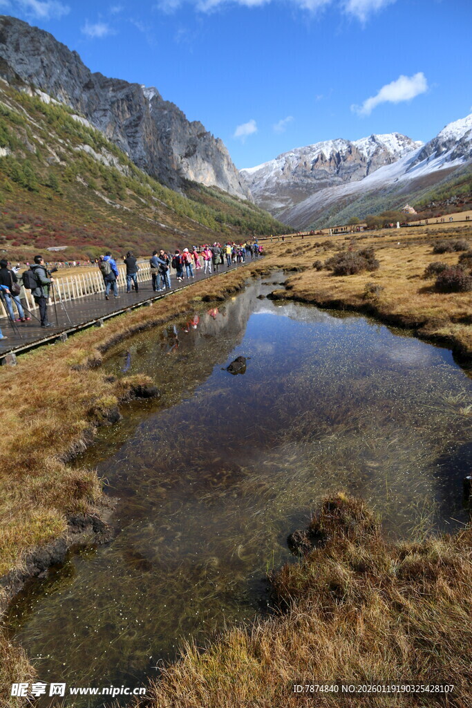 山间小径旁的清澈溪流