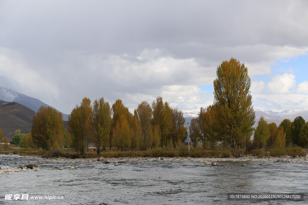 秋日河畔的多彩树林景观