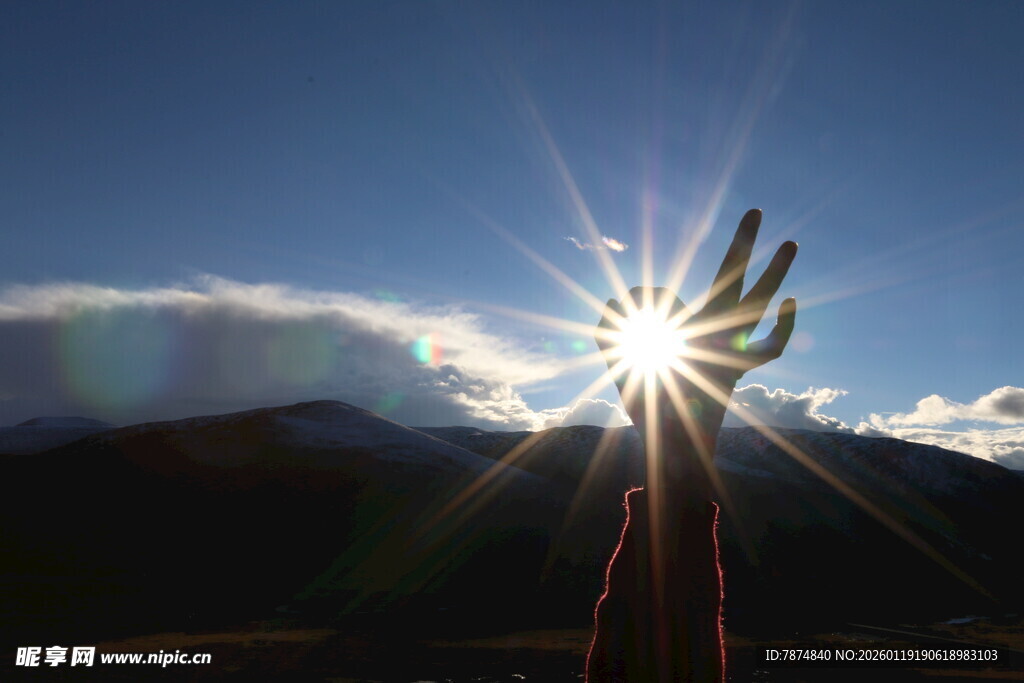 阳光下伸展的手