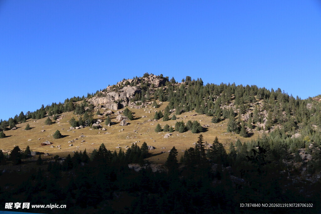 青山绿树间的美丽景致