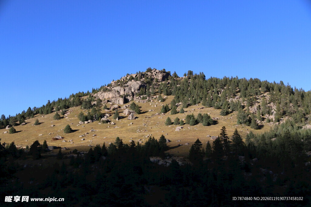 山峦绿树蓝天美景