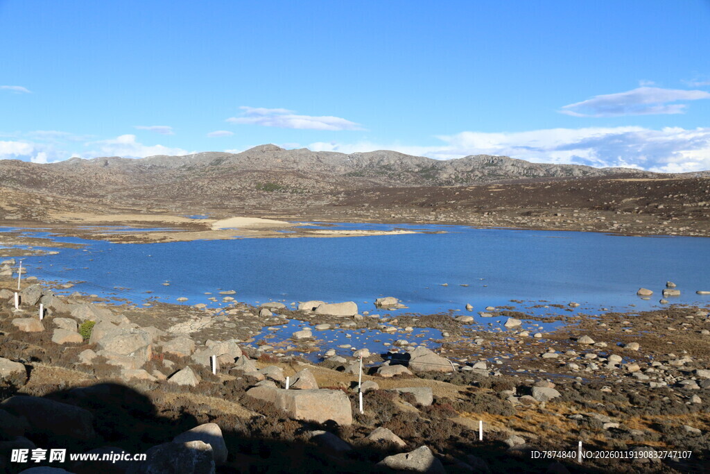 宁静湖畔的美丽自然景观