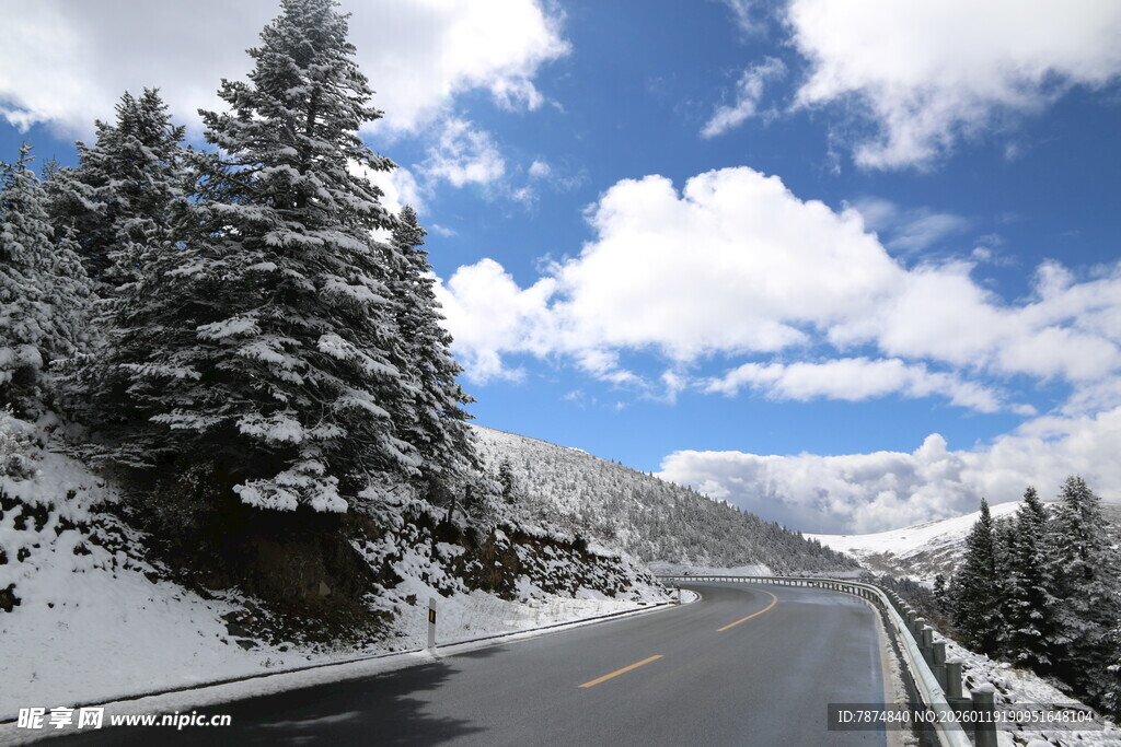 雪覆山林中的蜿蜒公路