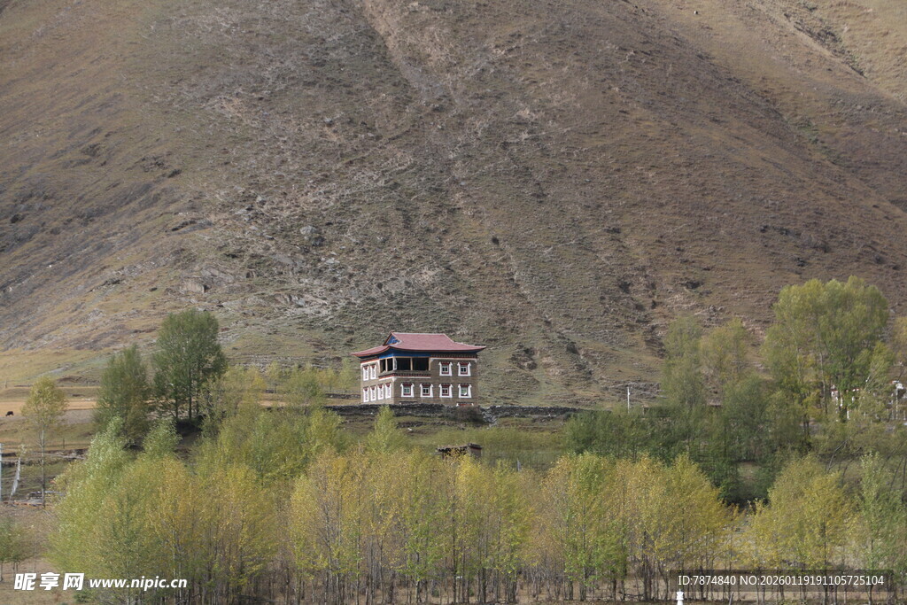 山间小屋伴秋色树林