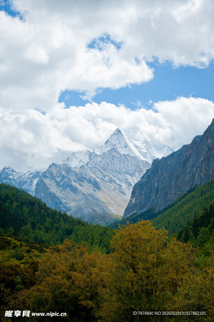 壮丽山景与多彩植被