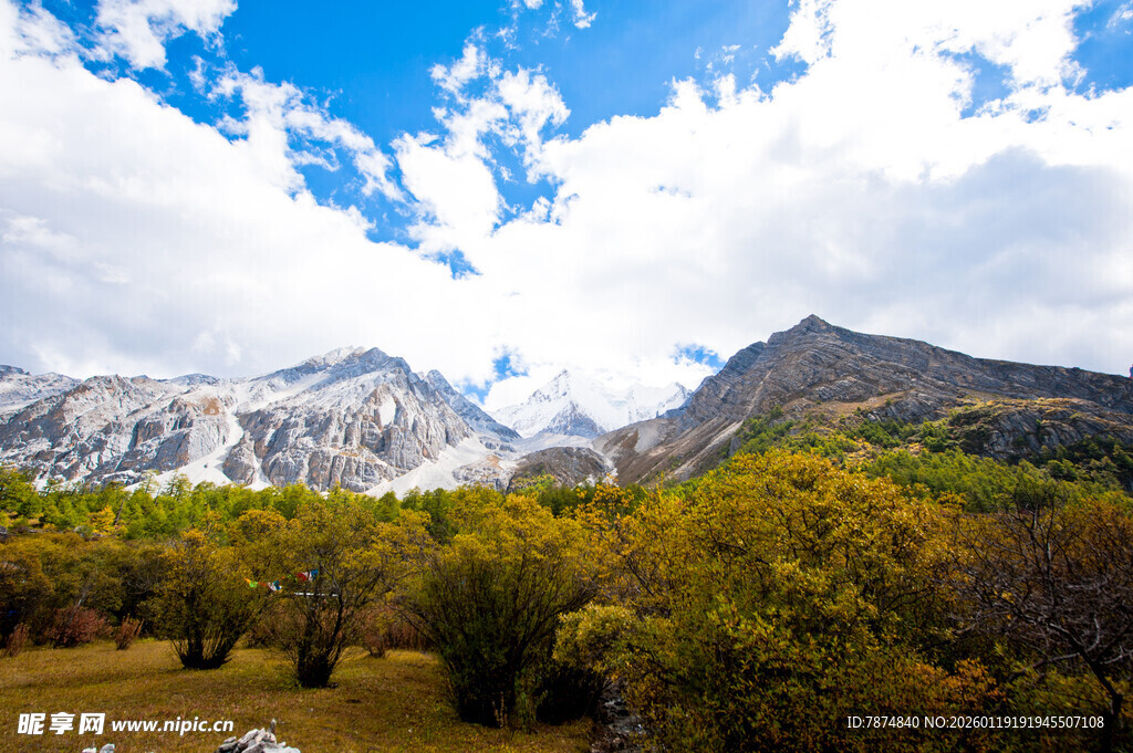 山间美景 葱郁植被与雪山