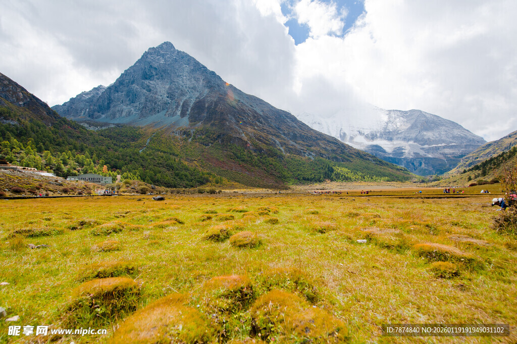 山间草地与巍峨雪山美景