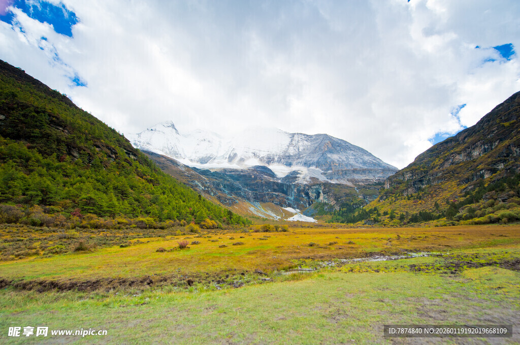 山间绿野 远观雪山美景