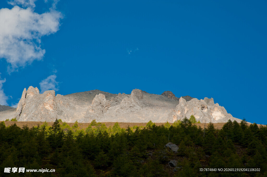 巍峨山峦下的葱郁森林