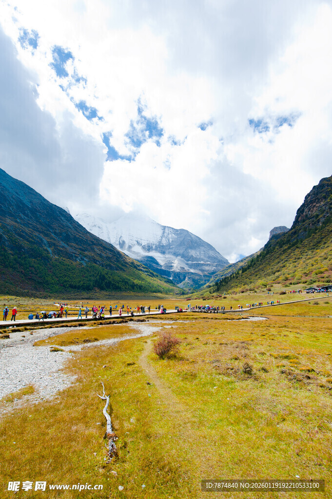 山间草地与蜿蜒溪流美景