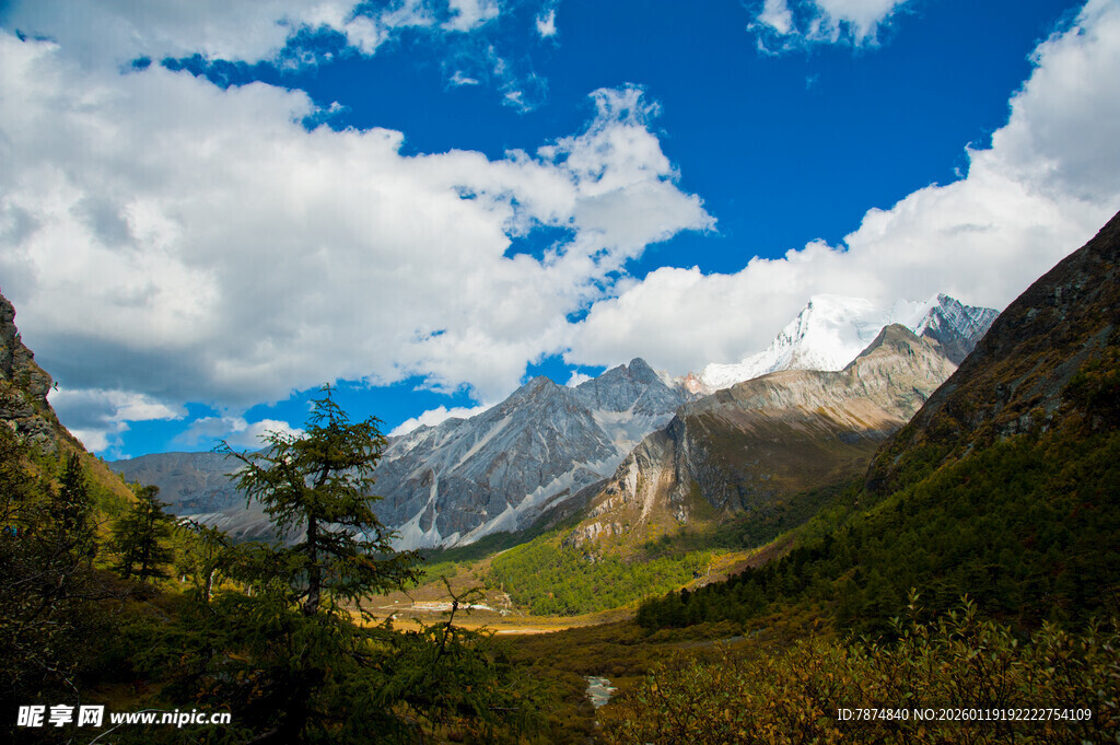 壮丽山谷间的巍峨雪山