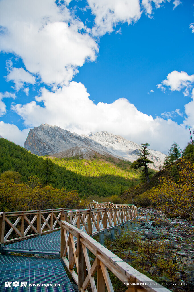 山间木桥旁的秀丽风光