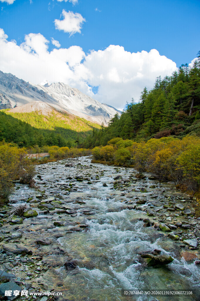山间清澈溪流与秀丽风光