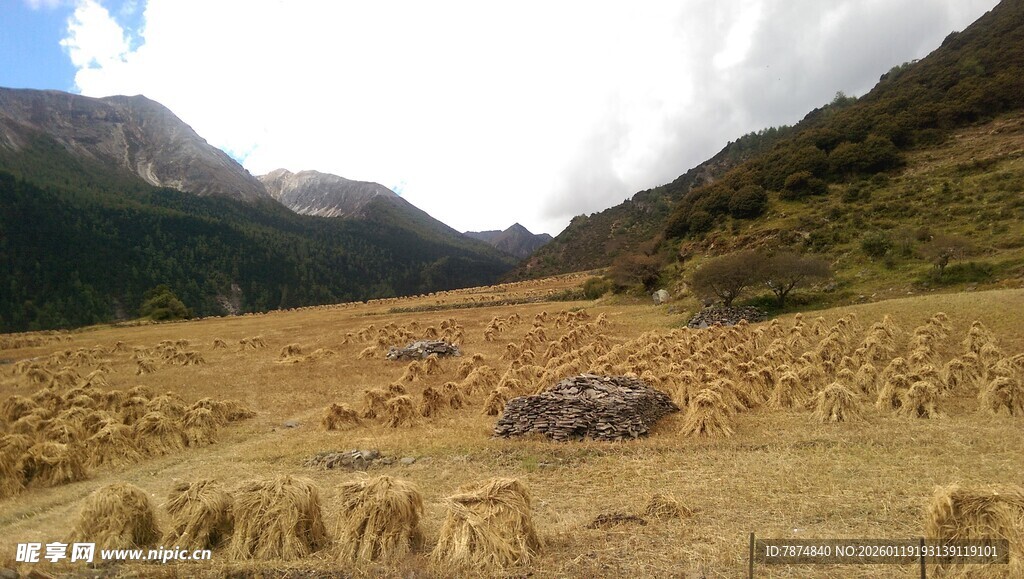 山间田野的静谧风光