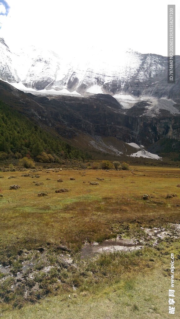 高山草甸壮丽自然景观