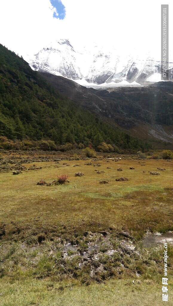 山间开阔草地美景