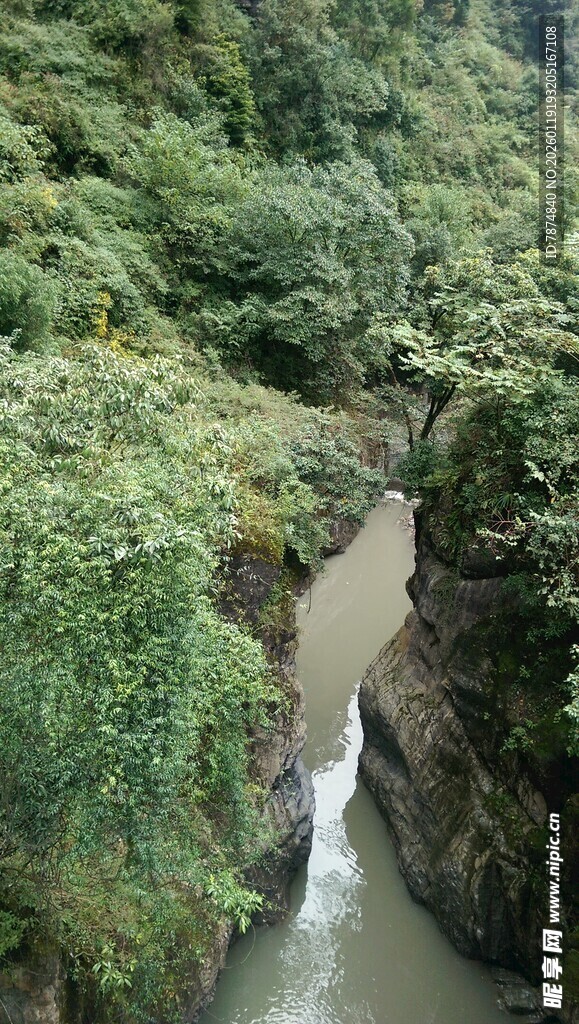 山间溪流穿林而过