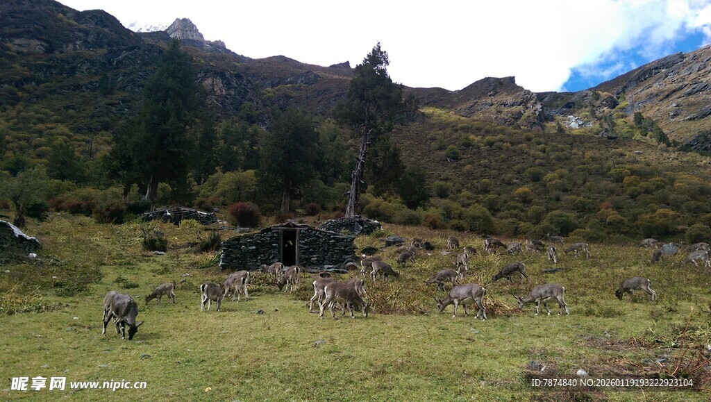 山间草地中的小屋