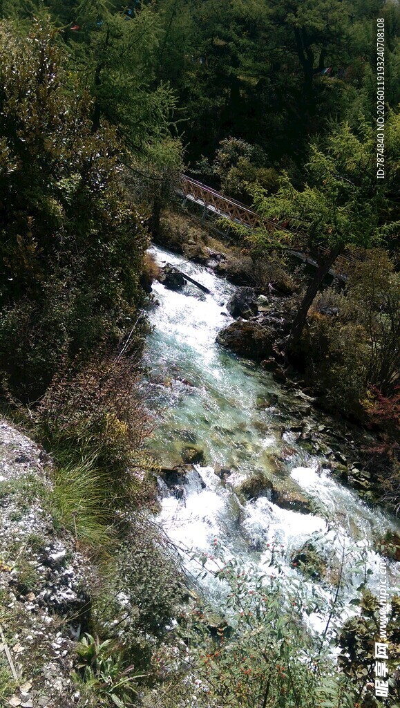 山间湍急溪流穿行绿意间