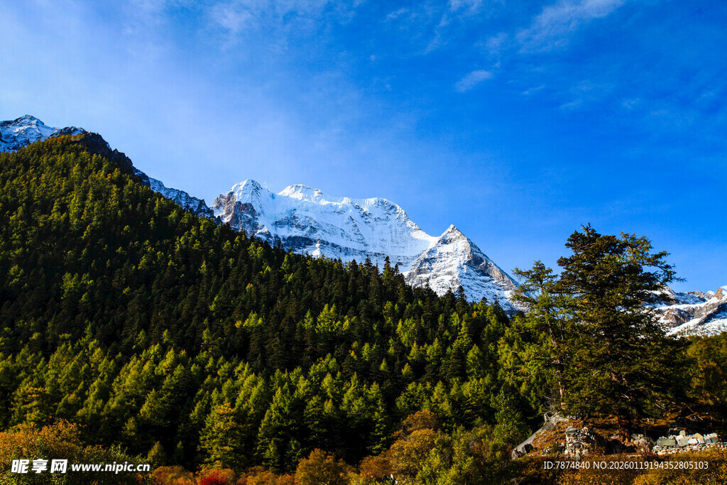 雪山下的葱郁山林美景