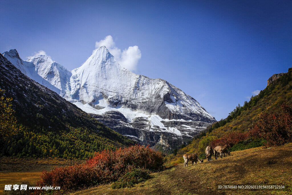 雪山壮丽美景