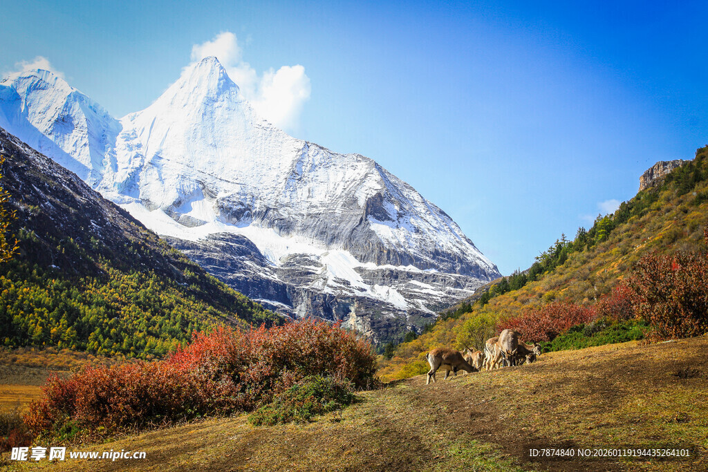 秋日雪山下的壮美自然风光