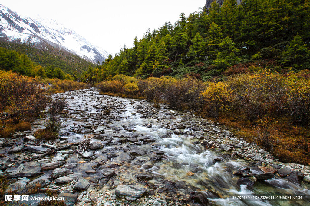 山间溪流穿林而过