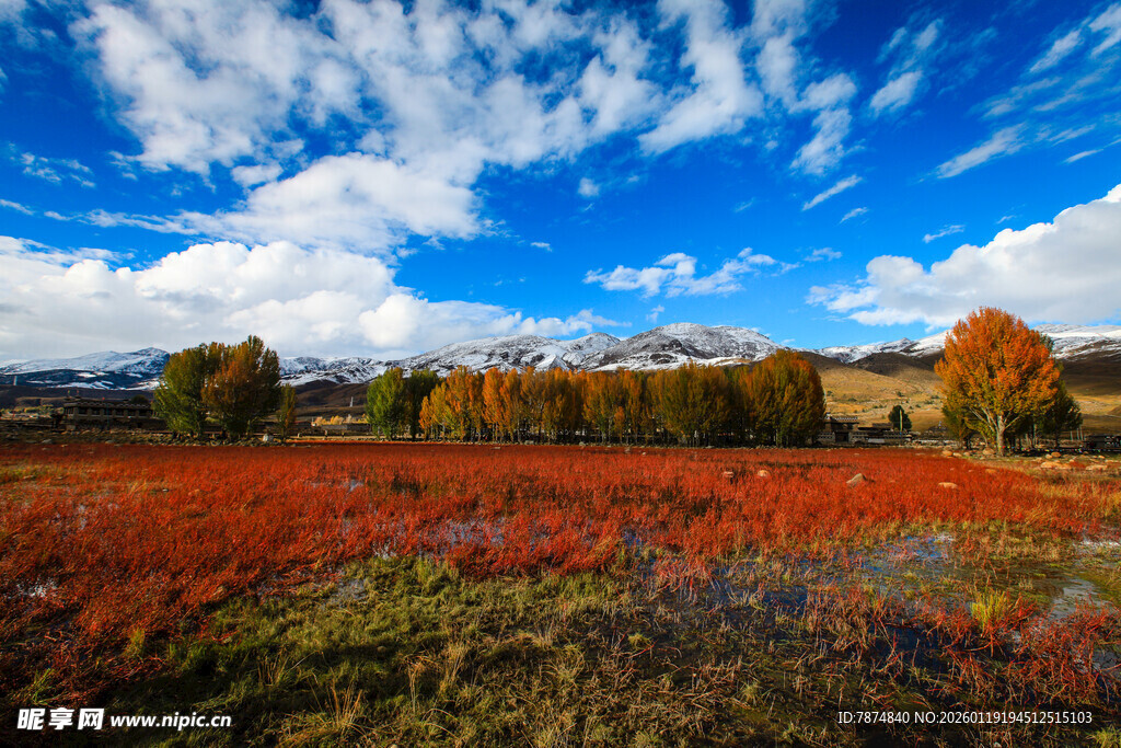 秋日多彩原野风光